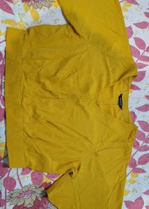 Gold V-Neck Flared Sleeve Top