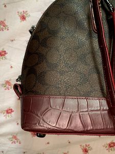 Coach 🇺🇸croc Leather Handbag