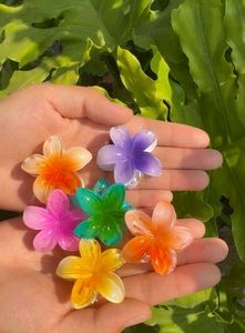 Flower Hair Clips Set Of 6