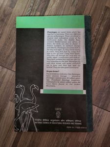 Combo:Ncert English Supplementary Reader Book And Flamingo - Class 12