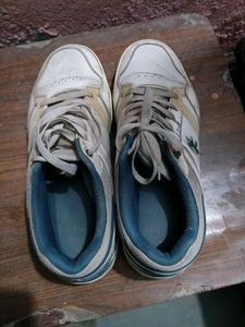 Used Sneakers