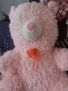 Pink Plush Teddy Bear