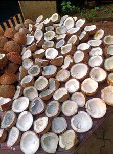 Pure Coconut Oil 🥥 Homemade 750 ml
