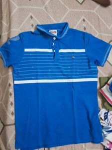 Blue Striped Polo Shirt