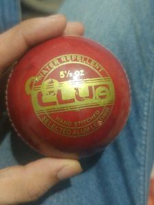 Cosco New Leather Ball