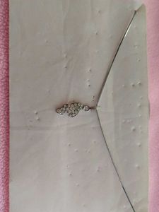 Combo Of Ear rings With Pendant Chain