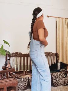 Light Wash Denim Overalls