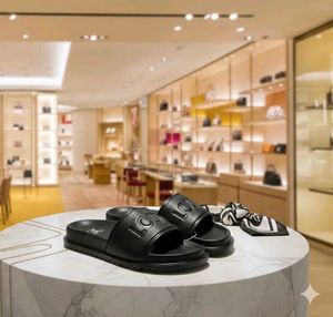 Louis Vuitton Brown Slides