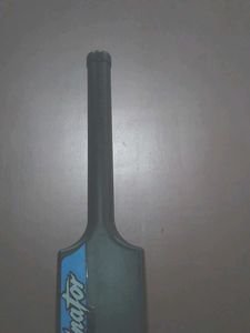 Jaspo Dominator Venom Edition Cricket Bat