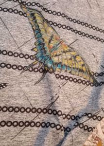 Gray Butterfly Embellished Top