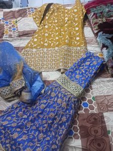 Elegant Embroidered Hyderabadi Garara Suit