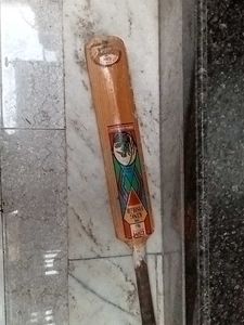 cricket bat
