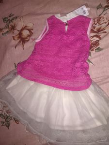 Girl Frok Net Chicken