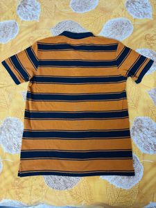 Striped Polo Shirt