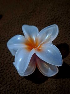 Flower Hair Clips - Set of 3