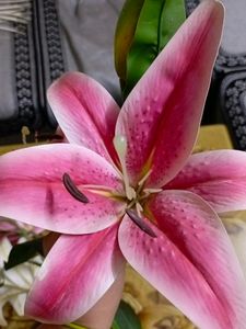 Artificial Lily Flowers