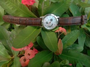 Men&#39;s Quartz Watch Brown Leather