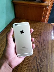 iPhone 6