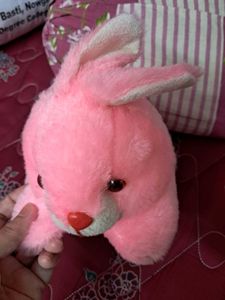 Stuffed Animal Bundle