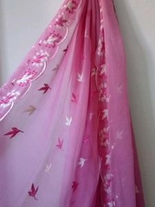 Elegant Embroidered Dupatta