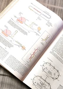 Lehninger Principles Of Biochemistry