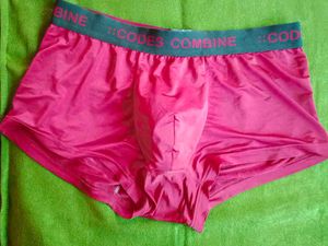 Men Codes Combine Ice Seamless  Briefs