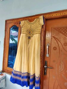 Elegant Ethnic Gown