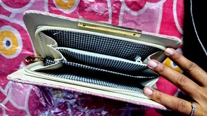 Elegant Party Clutch/ Purse