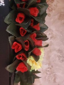 Plastic Flowers