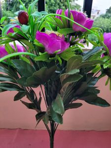 Purple Flower Bunch