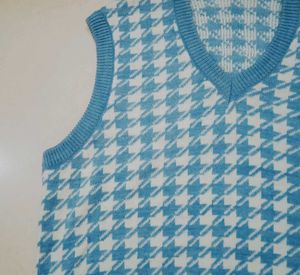 Sweater Vest