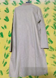 Light Green Ethnic Cotton Kurta for Men