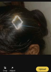 hair clip