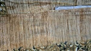 Floral Print Jute Saree