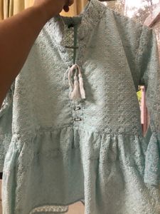 Blue chikankari Top