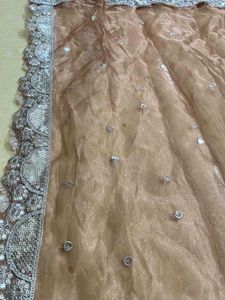 Elegant Sequin Dupatta ( Price Negotiable )