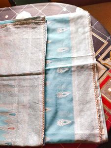 Elegant Aqua Saree with Intricate Paisley Detail