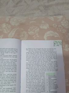 Flamingo Class 12th English Textbook