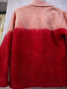 Multicolour Shiny Sweater