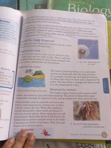 Universal Science 7