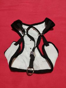 Dog Tuxedo Harness - Size L