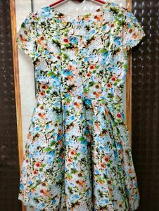 Floral Fit &amp; Flare Peter Pan Collar Dress