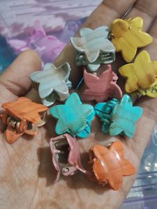 Small Claws