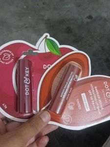 Dot and key Tinted Lipbalm combo