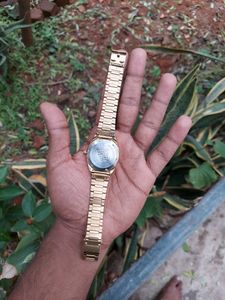 Gold Citizen Franken Fully Automatic Watch For Men