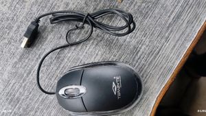 Mouse