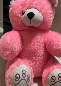 Pink Teddy For Kids