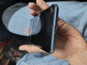 8 Plus 256