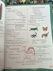 med easy zoology by samapti mam