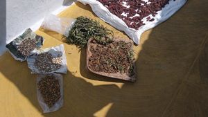 Homemade Shikakai Shampoo Powder